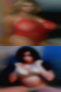 Bovine sex couple club nude.